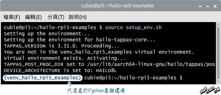 啟用Hailo AI的Python虛擬環境 