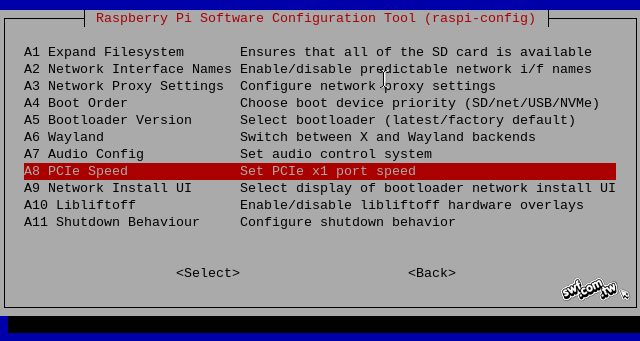 PCIe Speed(PCIe速度)