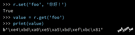 經UTF-8編碼成位元組格式的字串