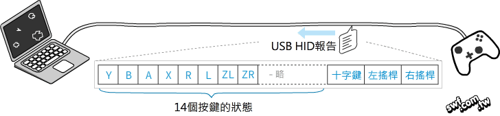 USB HID報告（report）