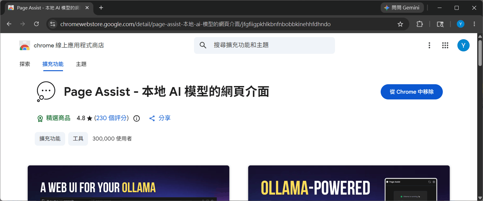 Page Assist擴充功能