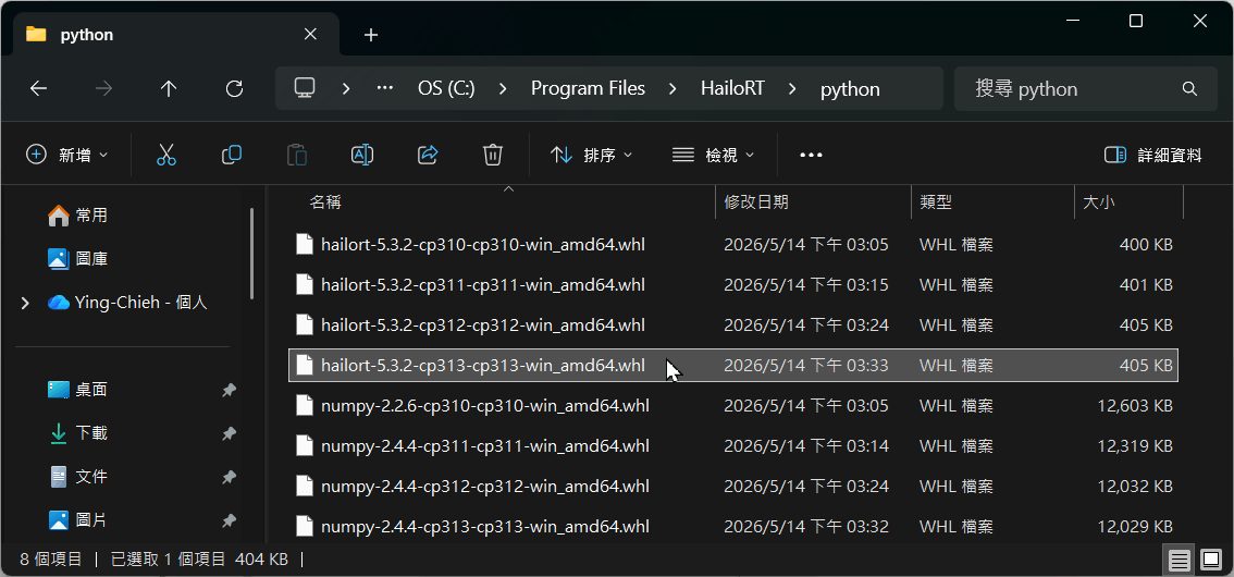Python Package (pyHailoRT)