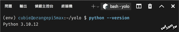 確認虛擬環境的Python版本