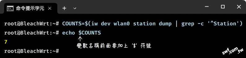 宣告與顯示變數值
